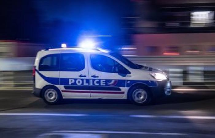 Un uomo ucciso dalla polizia nella Val-de-Marne dopo aver “minacciato” gli agenti con una pistola