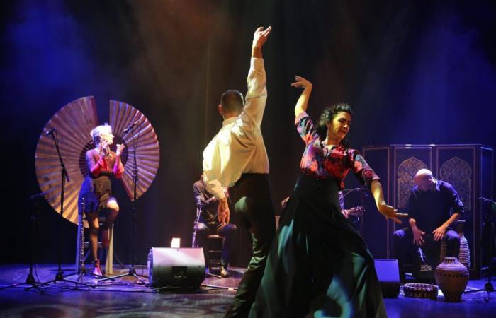 Flamenco, la danza delle emozioni sgargianti