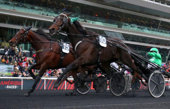 PMU – Arrivo del quintetto domenica 17 novembre alla Parigi-Vincennes: Hussard du Landret primo qualificato per l’America