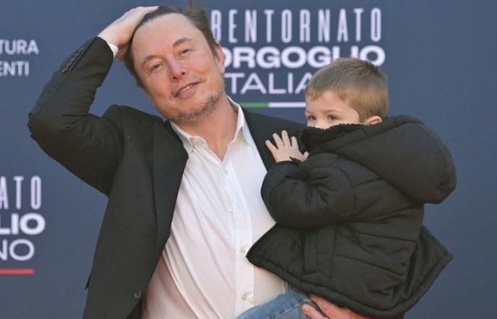 Elon Musk: compagna, ex mogli, 12 figli, genitori… chi sono i membri della sua galassia familiare?