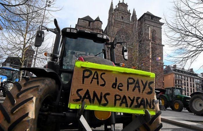 Rodez. “Dimostrare che la rabbia è presente ovunque nell’Aveyron”