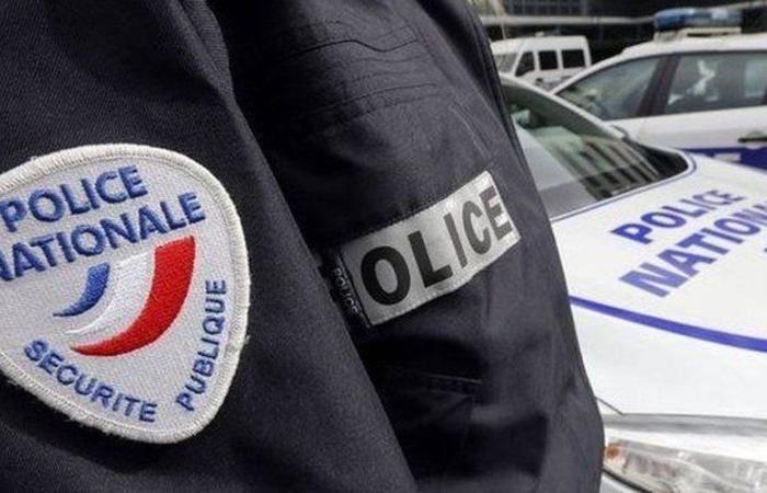 Rumori notturni, sospettato alcolizzato, minacce, arma falsa: cosa sappiamo del trentenne ucciso da un agente di polizia in Val-de-Marne