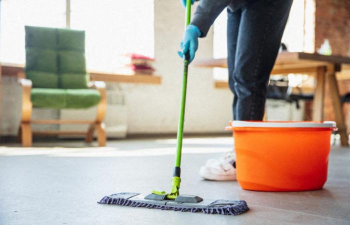 la Compagnie des Lavandières organizza un incontro di lavoro per assumere collaboratrici domestiche a tempo indeterminato