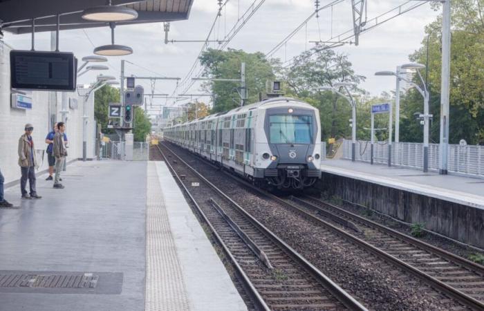 Giovane investito da una RER: agente della RATP rinviato a giudizio per violenza aggravata, proseguono le indagini