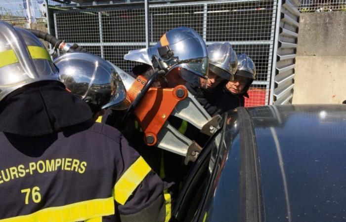 Vicino a Rouen un’auto si schianta contro un albero, una donna di 18 anni rimane uccisa e un passeggero fugge