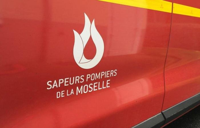 Incendio nel centro della città di Metz: impegnati quasi un centinaio di vigili del fuoco