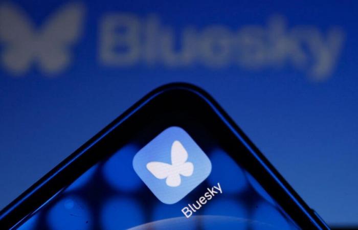 Bluesky vede un aumento post-elettorale di nuovi utenti in mezzo all'esodo da X. Ecco cosa sapere sulla piattaforma di social media.