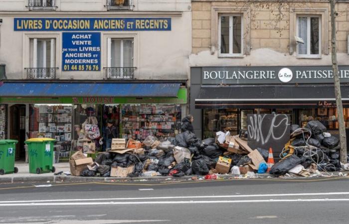 Ogni anno vengono raccolte 30.000 tonnellate di rifiuti dalle strade di Parigi