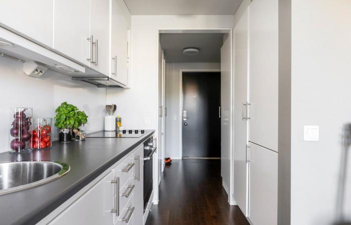 Un monolocale contemporaneo di 33 m2 con alcova