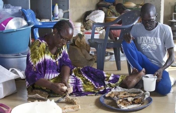 “La morte non fa più paura”: in Senegal, l'esodo verso l'oceano | La crisi dei migranti