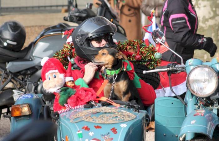 Montceau – Piccoli papà motociclisti fedeli al raduno