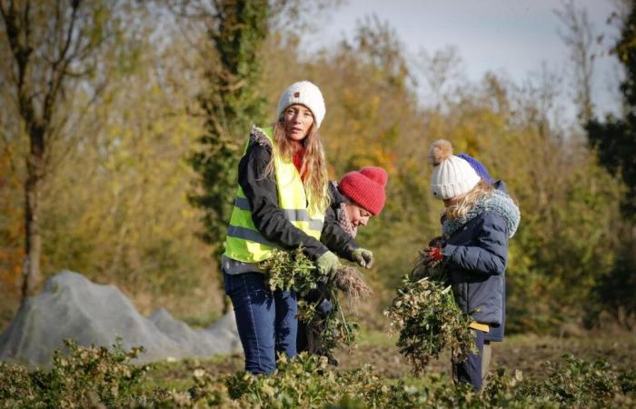 nella Charente-Maritime, il successo dei progetti partecipativi nelle aziende agricole