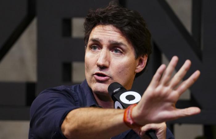 Vertice del G20 | Justin Trudeau elogia la carbon tax