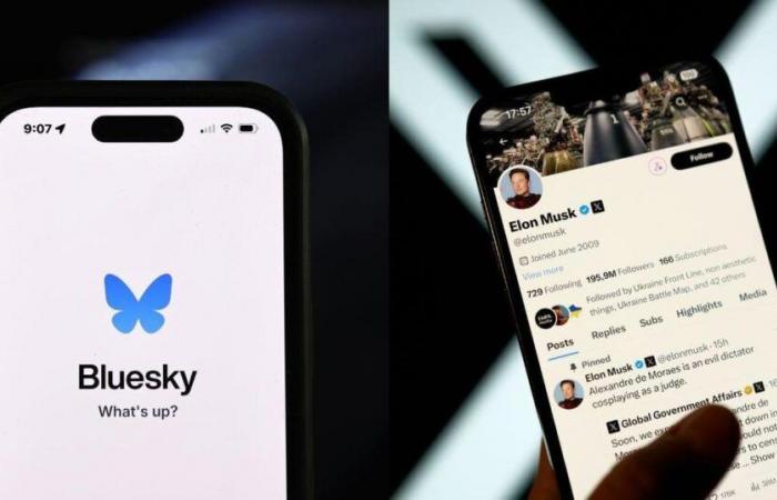 Cos'è Bluesky, la piattaforma online che accoglie gli utenti che escono dall'X di Elon Musk?