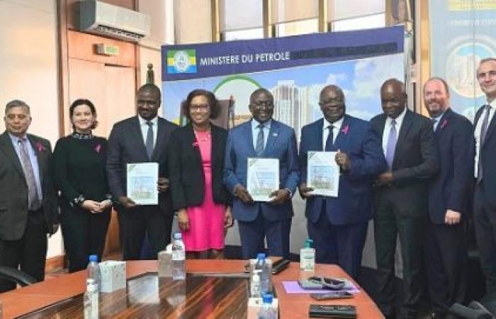 Il Gabon ha rilasciato permessi di esplorazione per i blocchi petroliferi di Guduma e Niosi