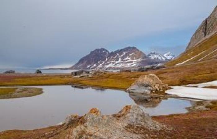 L’aria artica attanaglia il Regno Unito, provocando avvisi di neve e ghiaccio