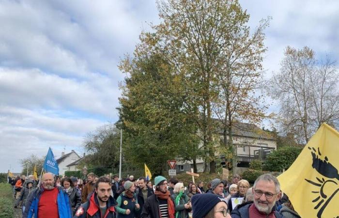 Nel sud della Manica, 500 manifestanti contro la mega fattoria di pomodori