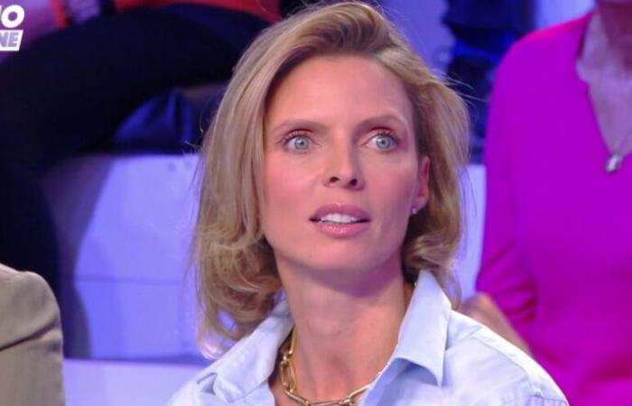 Sylvie Tellier nega di aver ricevuto “12 milioni di euro” quando ha lasciato Miss Francia