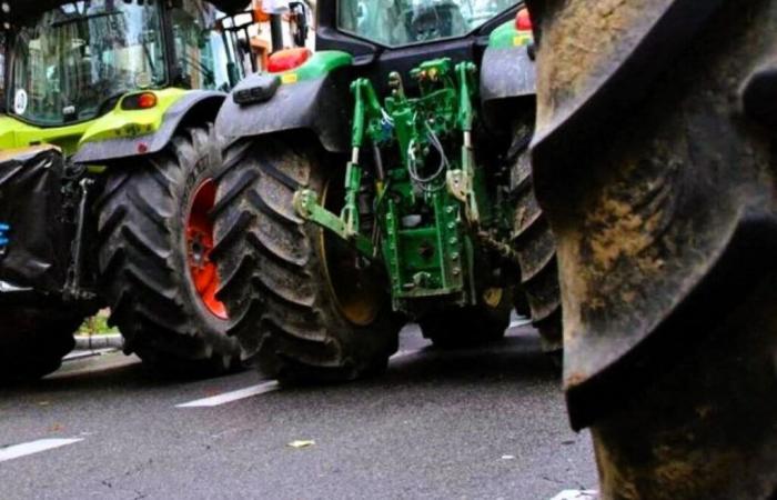 La rabbia dei contadini. Azioni annunciate nel Tarn-et-Garonne: ecco dove e quando