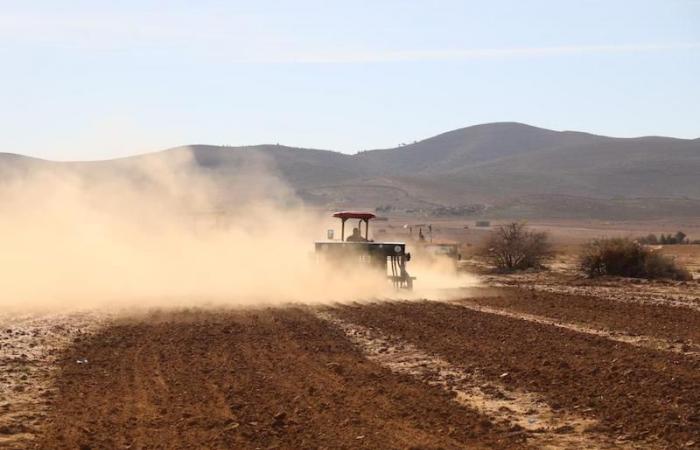 Fez-Meknes. Ecco lo stato di avanzamento della campagna agricola 2024-2025