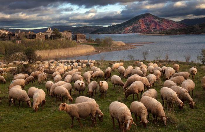 Georges Souche cattura nuove luci e atmosfere di Salagou e del suo ambiente