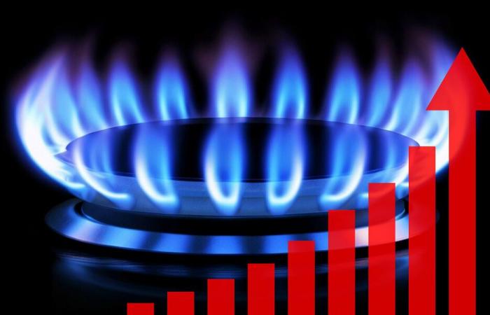 Gas – Il prezzo di riferimento torna a salire a dicembre – Notizie