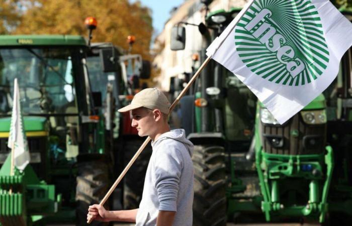 convogli di trattori, raduni, blocchi di merci… Cosa dobbiamo aspettarci da questa domenica e dalla settimana a venire?