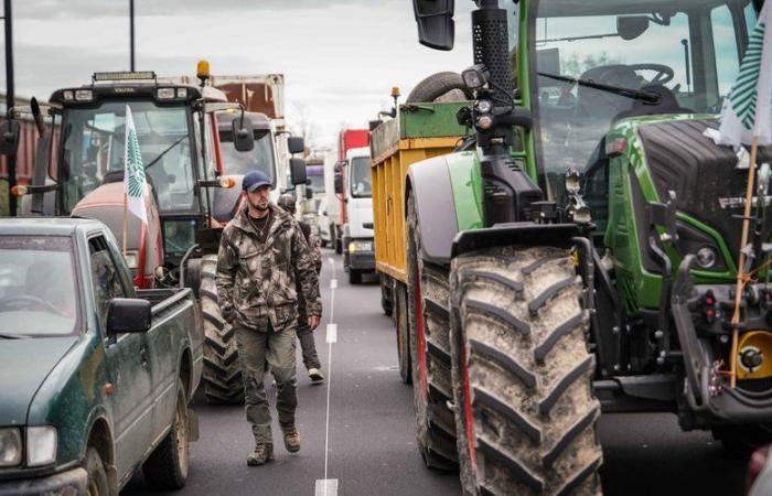 Dimostrazioni di trattori, blocchi, luci di emergenza… Come esprimeranno la loro rabbia gli agricoltori questa settimana?