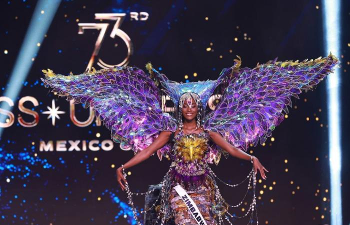 Miss Universo 2024: guarda tutti i migliori costumi nazionali