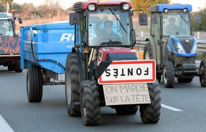 Gli agricoltori arrabbiati si stanno mobilitando questo lunedì davanti alla prefettura dell'Hérault, a Montpellier