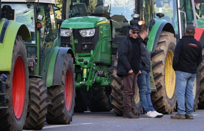 mobilitazioni previste questa domenica per fare pressione sul governo