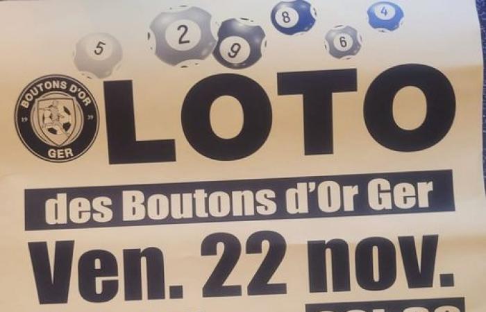 Ger Buttercup Loto del 22 novembre – LOURDES-ACTU