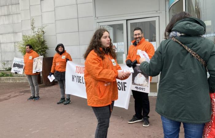 L214 ti invita a “girare i vassoi del pollo”