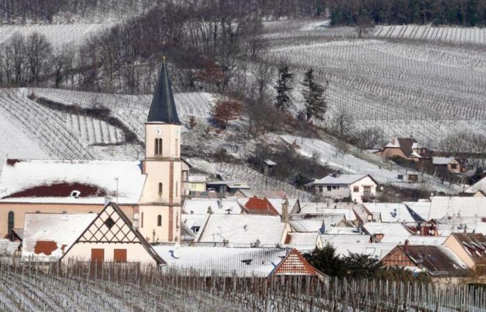 Meteo: neve in pianura, pioggia, temperature più invernali, cosa dobbiamo aspettarci questa settimana?