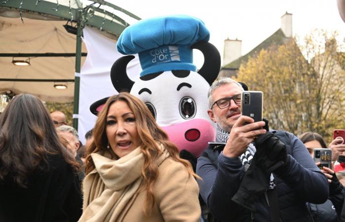 Foto: Eva Longoria, Jean Reno, Dominic West, Zabou Breitman, Constance Labbé, Patrick Paroux… pioggia di stelle all’Hospices de Beaune