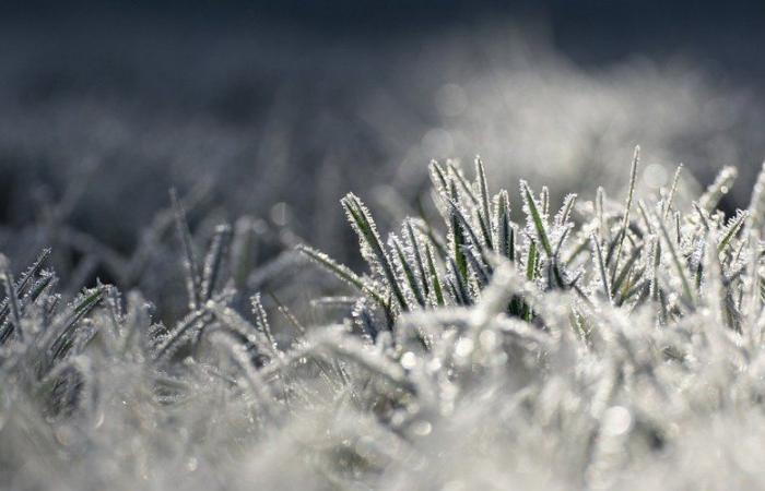 “Sta per cadere una massa d’aria polare”: sensazione di “ghiaccio”, nevicate in pianura, nevischio, forti raffiche di vento… tempo invernale previsto per la prossima settimana