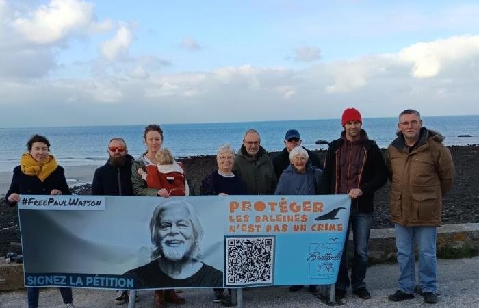 Nel Cotentin, uno striscione per Paul Watson