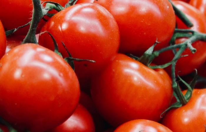 perché dovresti mangiare i pomodori?