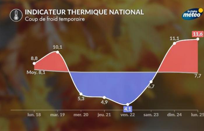 Calo delle temperature: ondata di freddo temporanea, sì, ondata di freddo, no