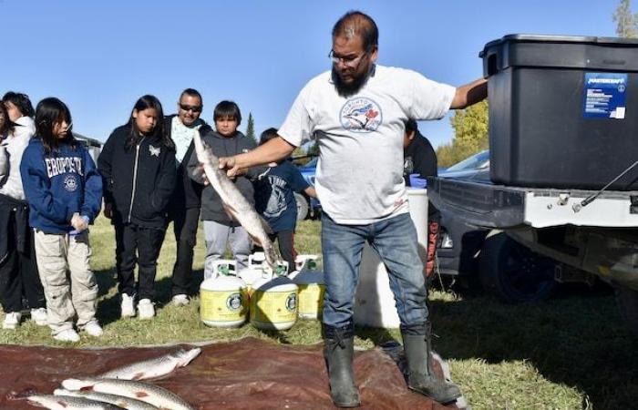 Grassy Narrows: il fiume velenoso