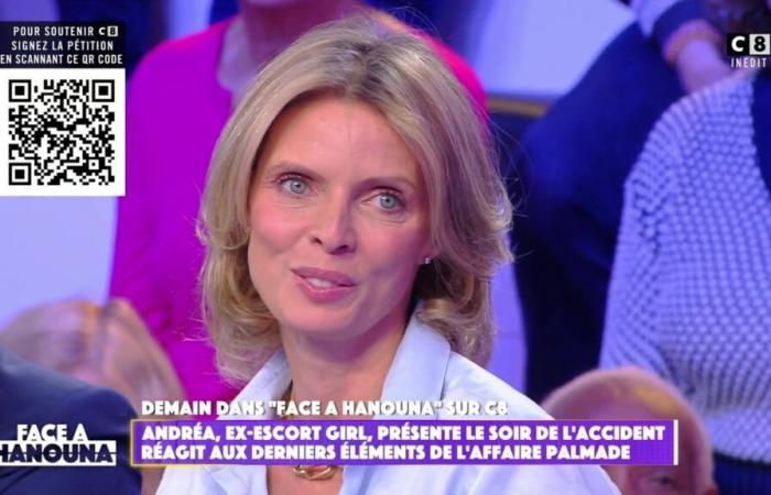 “Non ho preso 12 milioni di euro”: Sylvie Tellier ripercorre le circostanze della sua partenza da Miss Francia