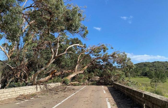 L'Alta Corsica è stata posta in allerta gialla a causa di un episodio di forte vento