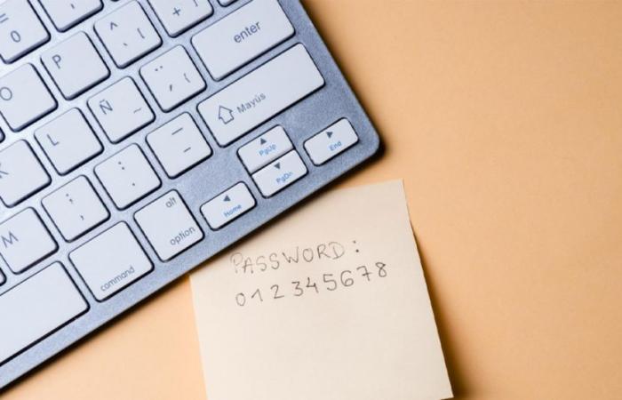 Ecco le password più comuni del 2024