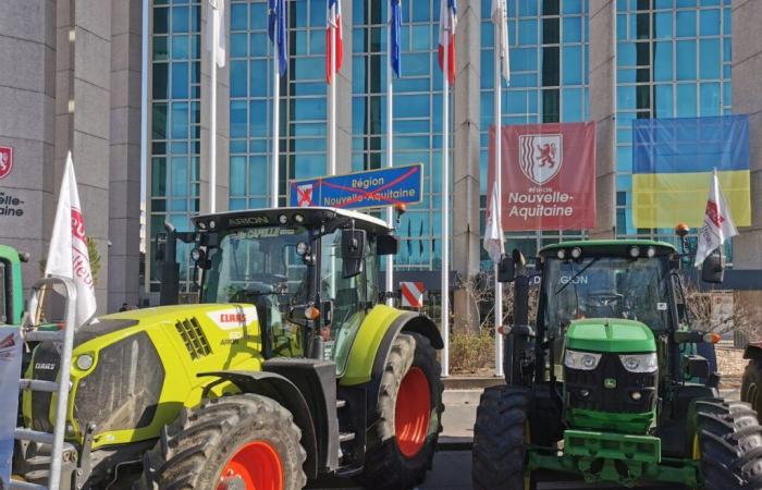 segui la loro prossima azione nel centro di Bordeaux