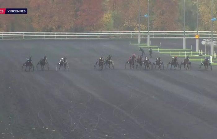 PRIX DE CASSIS – PARIGI-VINCENNES – 18/11/2024: partenti, pronostici e risultati in video – Gara 5