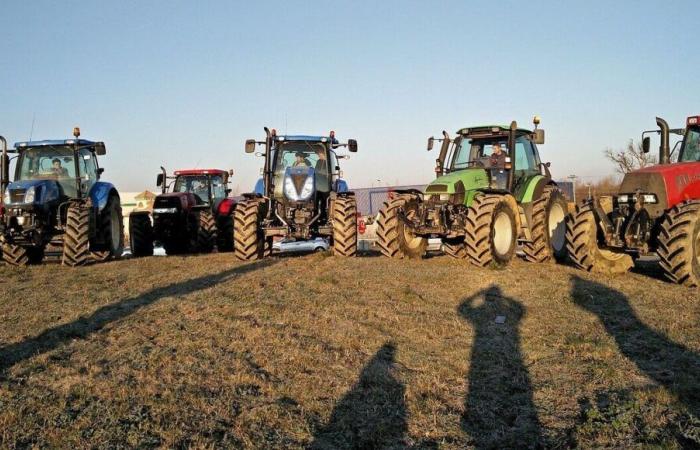 Mobilitazione degli agricoltori: incontri previsti lunedì 18 novembre in Costa d'Oro e Saône-et-Loire