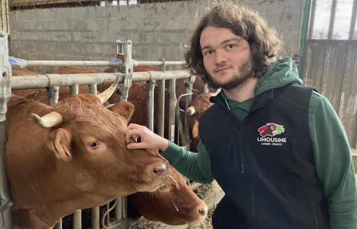 a capo di un allevamento di bestiame a 22 anni, Lucas Boulat, in elogio del coraggio