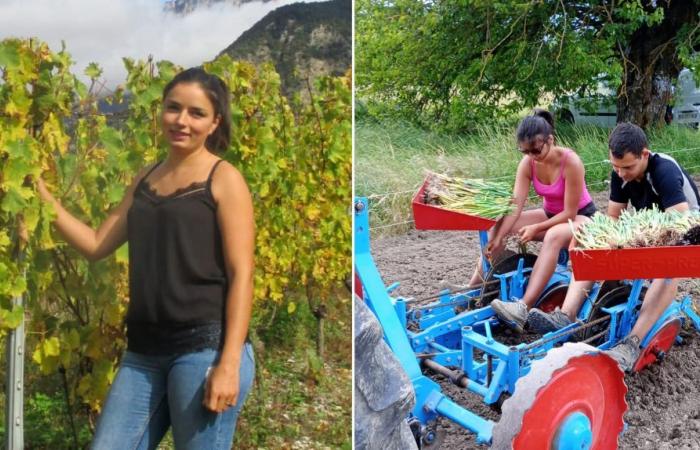 Elsa Chastel, 21 anni, giovane agricoltrice della Drôme, presto…mancherà la Francia agricola?