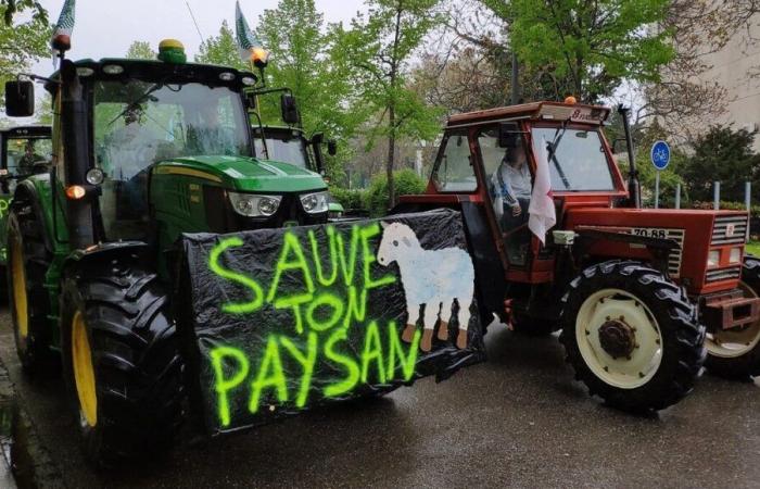 Mobilitazione degli agricoltori: quali interruzioni in Alsazia questo lunedì?