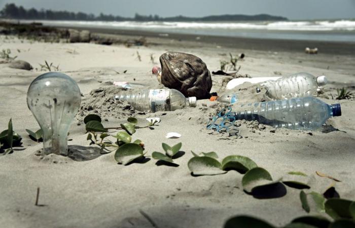 Un rapporto parlamentare mette in guardia sul vero prezzo della plastica per la società